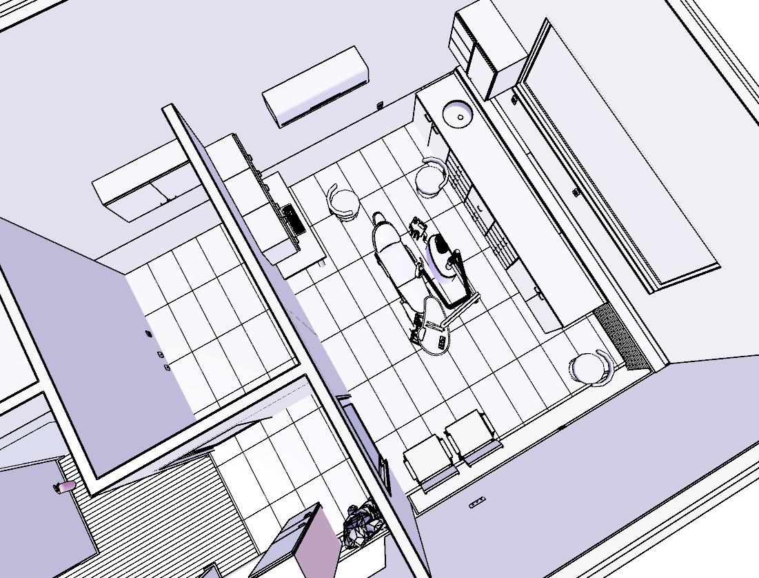 Technical perspective drawing of the same surgery